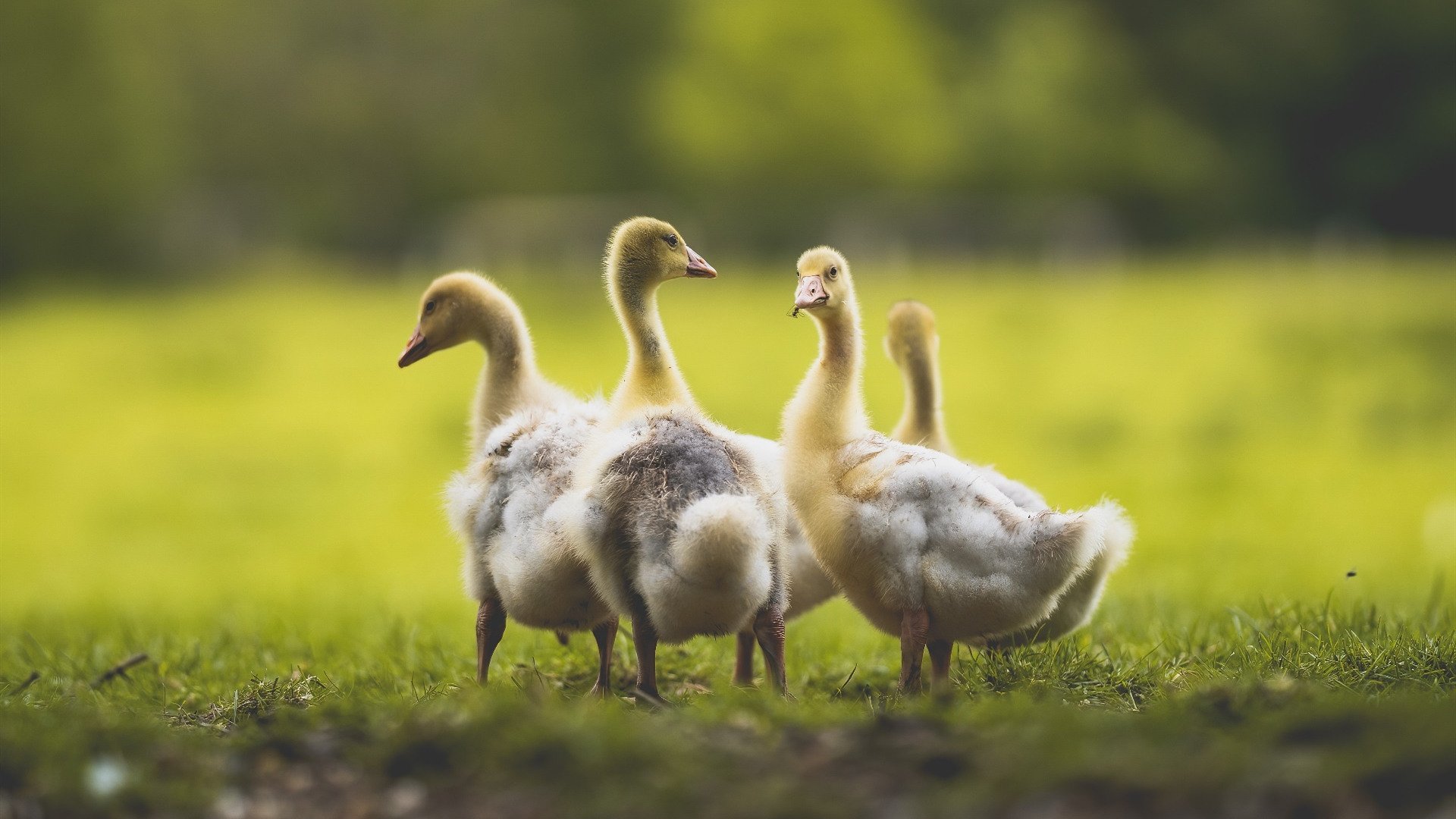 _青少年运动创新大赛:激发无限潜能_,青少年创新大赛宣传标语