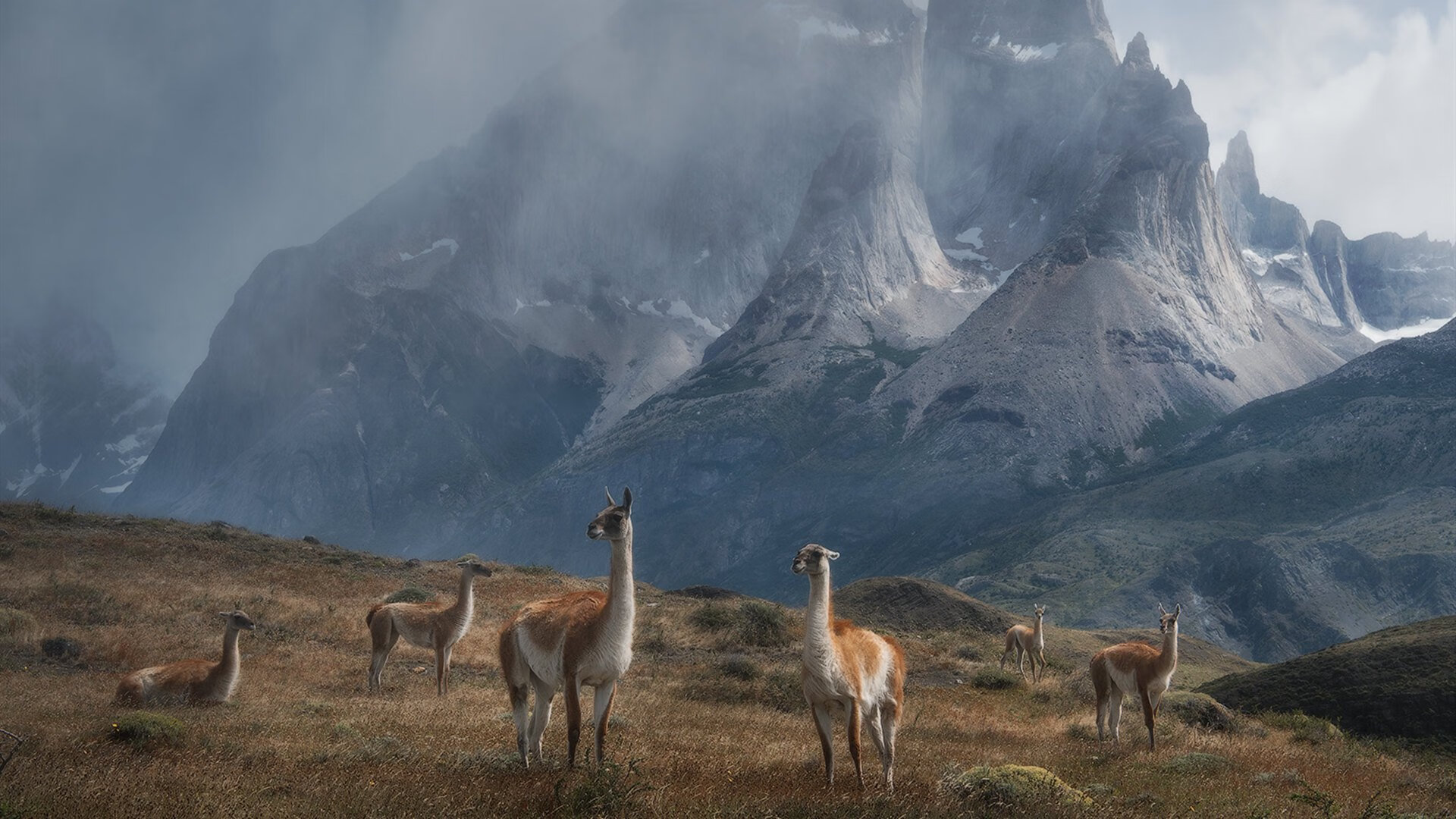 KAIYUNAPP-“西甲明星们的精彩表演，场面精彩纷呈”，西甲名人