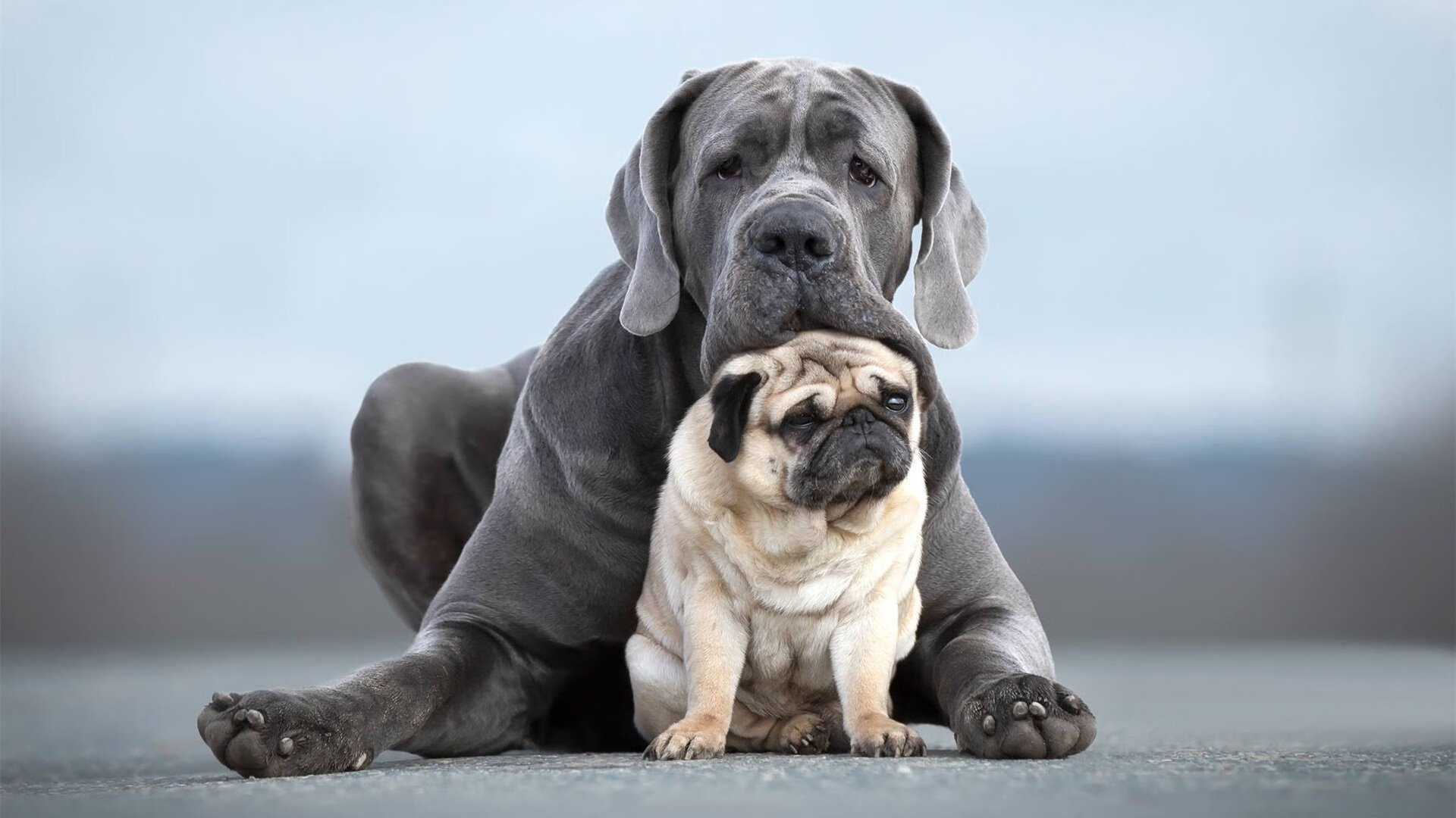 开云体育-《电竞电影、剧集热映：行业跨界新形态》，电竞类电影排行榜前十名