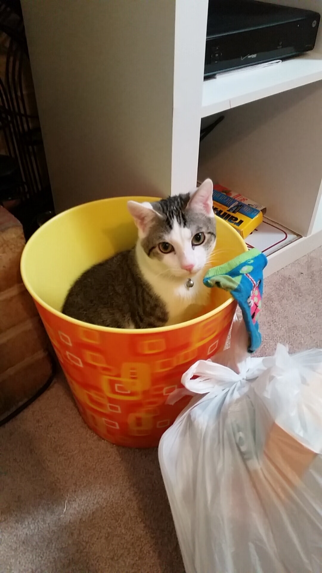 《新兴游戏崛起：电竞界的下一匹黑马》，游戏新星