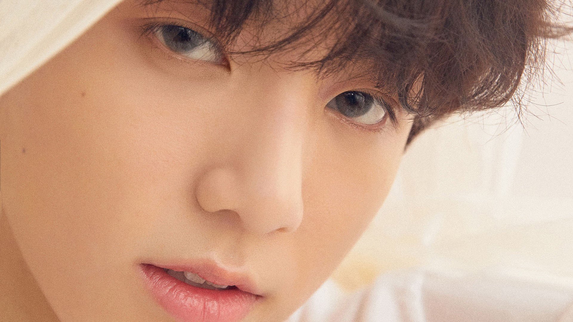 【粉丝制作内容】最佳剪辑和互动视频合集，粉丝视角