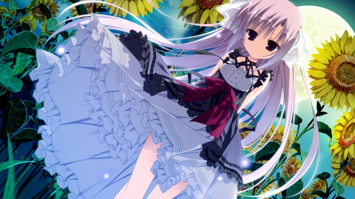 史上最炸“盖帽”纪录，谁的防守最令人惊叹？，盖帽是防守吗