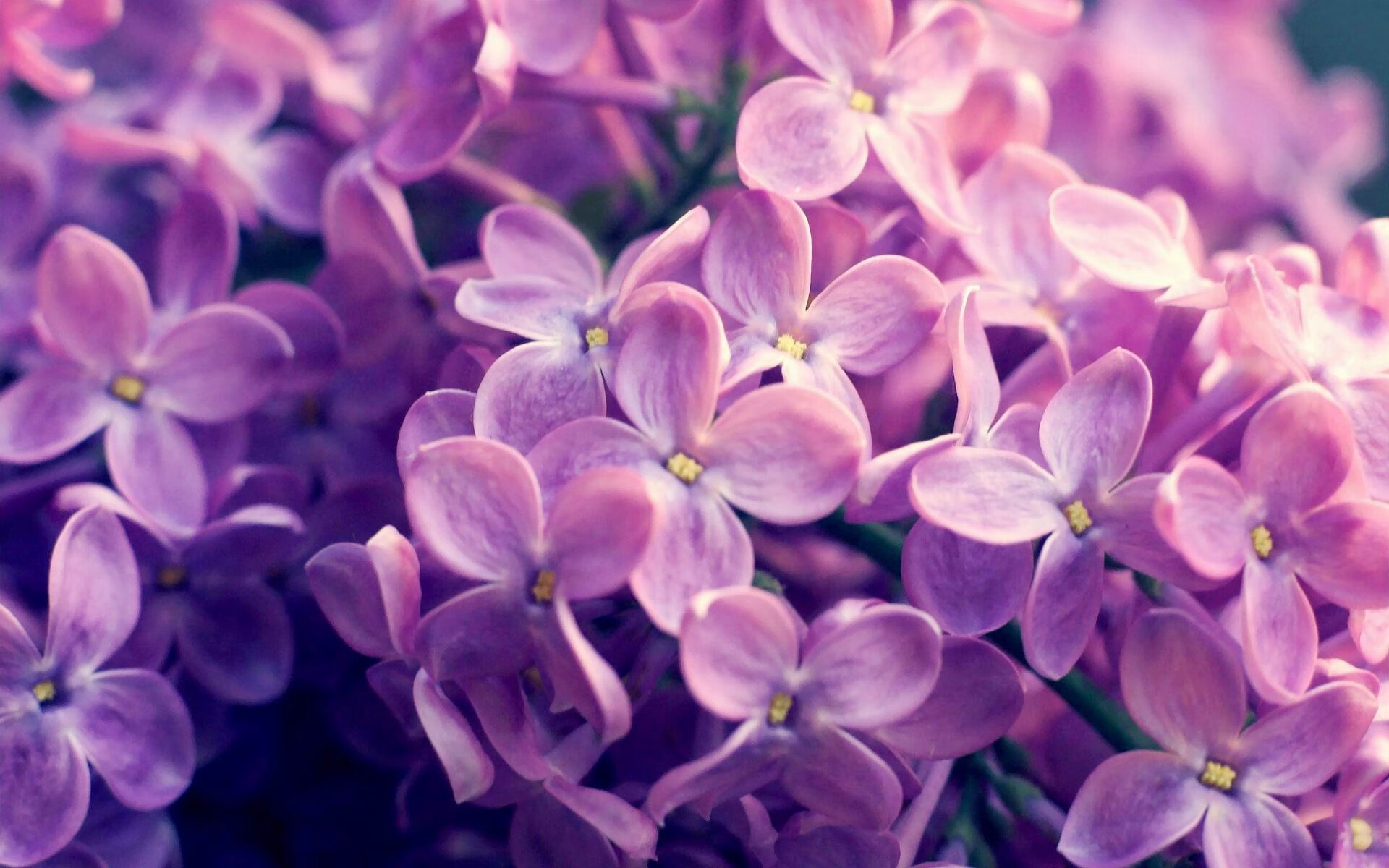 开云网站-史上最“燃”绝杀瞬间：每个瞬间都让人心跳加速，最经典的绝杀