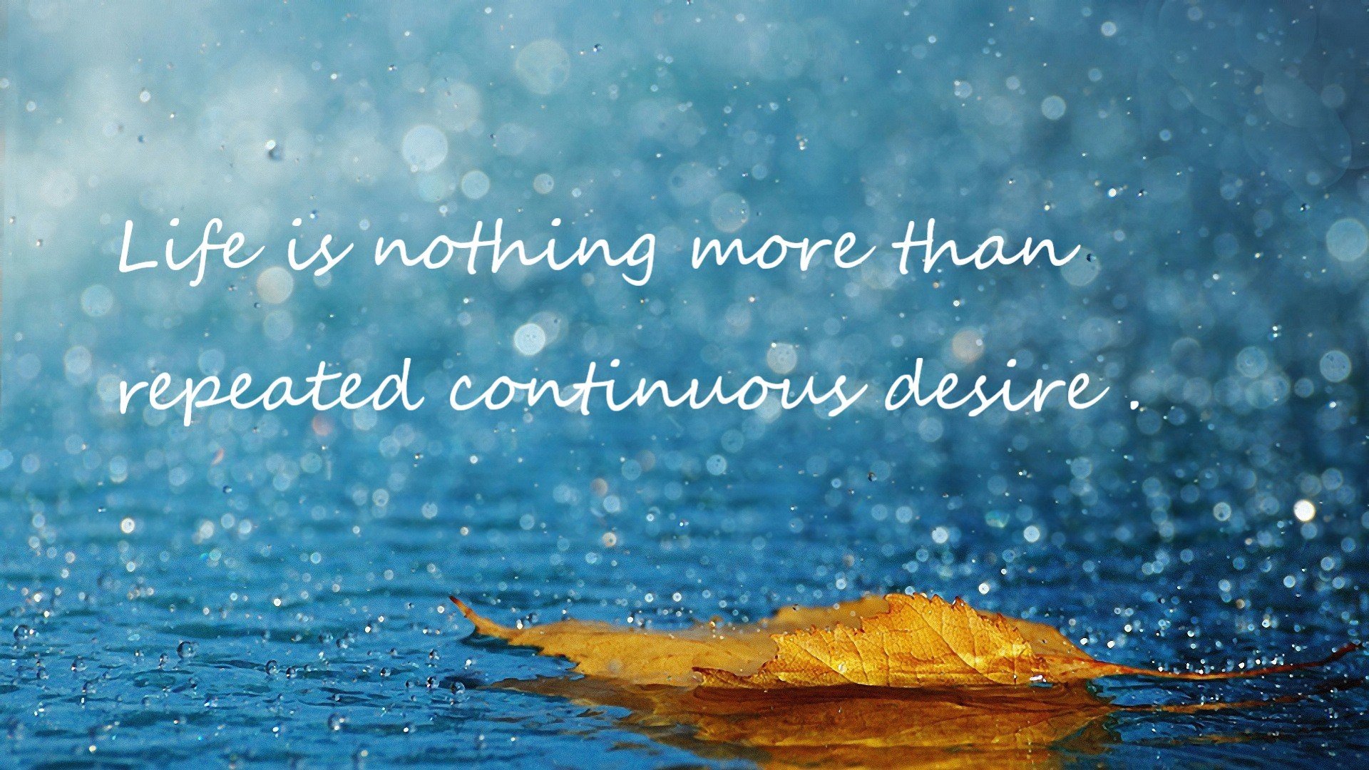 反击节奏：北京队利用快攻连续得分，拉开差距！，北京队被绝杀