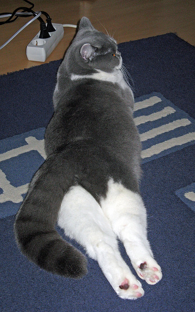 场上英雄：李明全面爆发，攻防兼备！