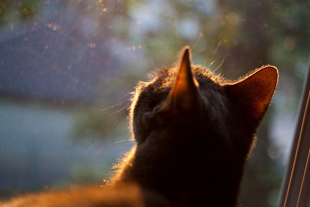 广场舞推动地方经济发展,促进广场舞健康发展这一主题拟写一份提案
