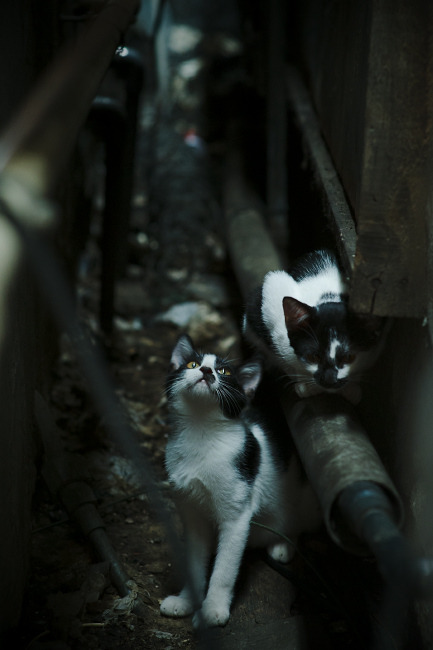 开云kaiyun-最难追赶：落后太多的球队还能翻盘吗？，1-3落后逆转的球队