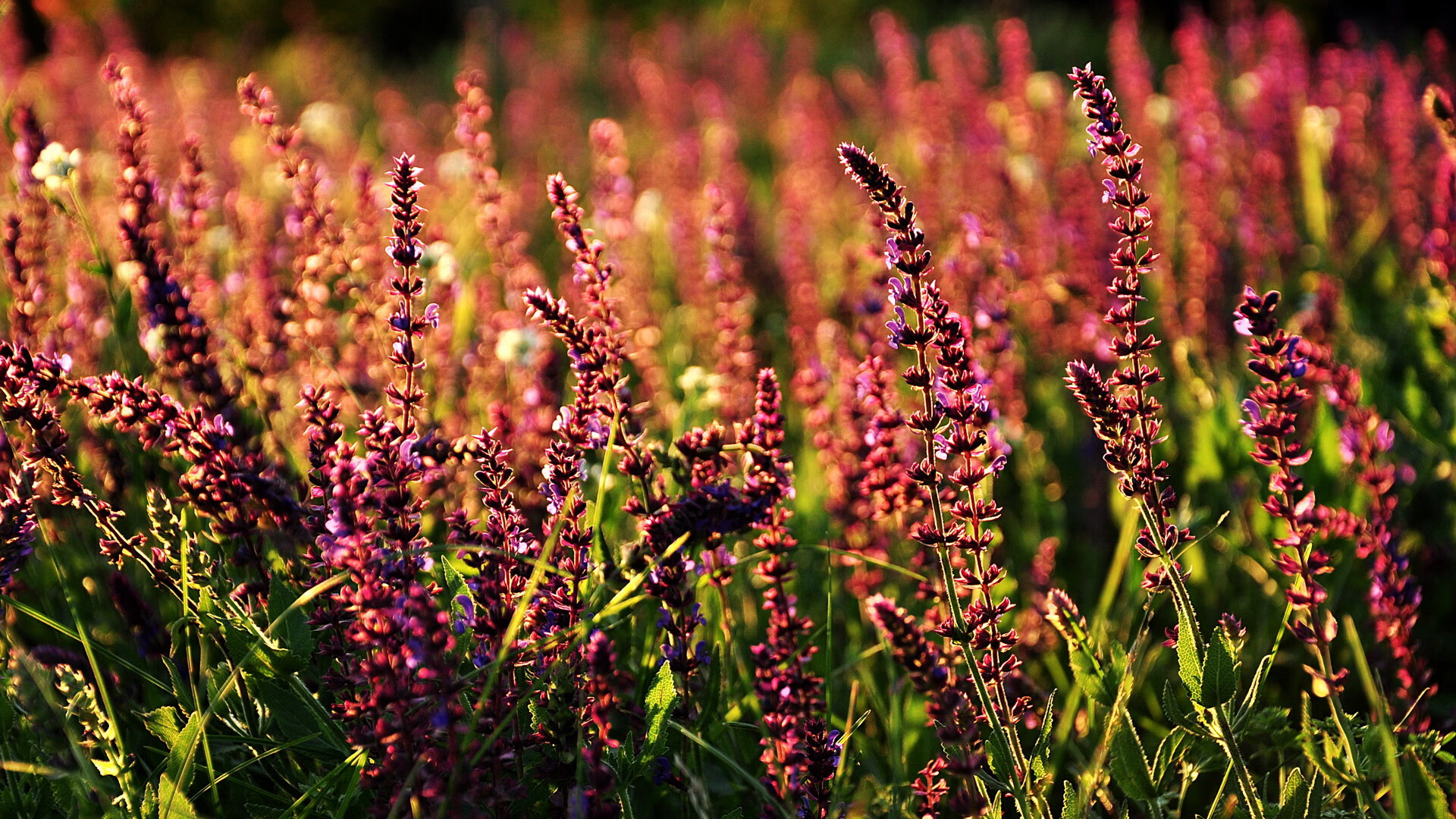 科技助力青训,从国家队训练到全民足球全面铺开,国家足球青训进步了么