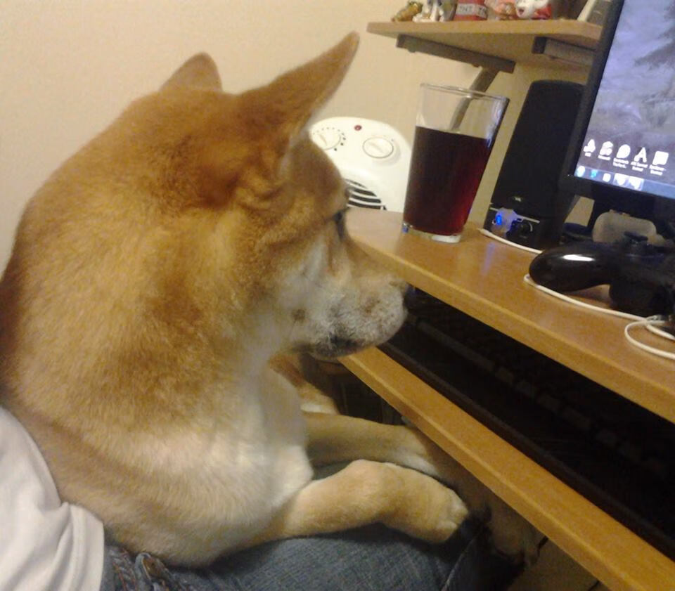 赛场外：F1的环保公益行动，f1 环保