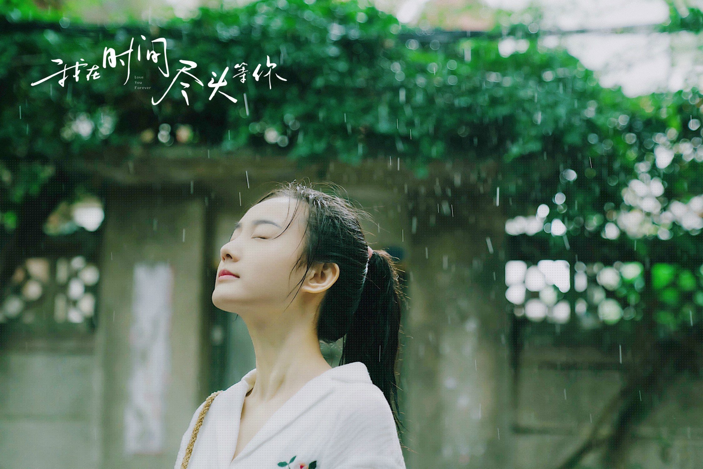 赛场外：F1的环保公益行动，f1 环保