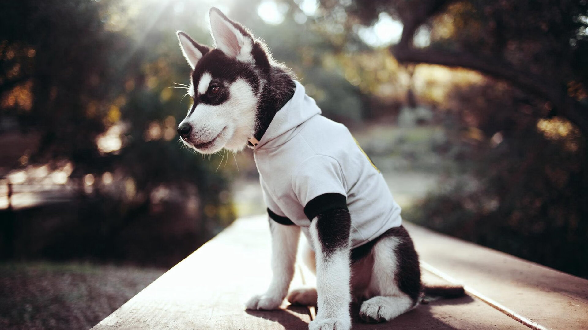 逆转瞬间:球队在最后2分钟燃起胜利希望!,篮球最后一分钟最大逆转