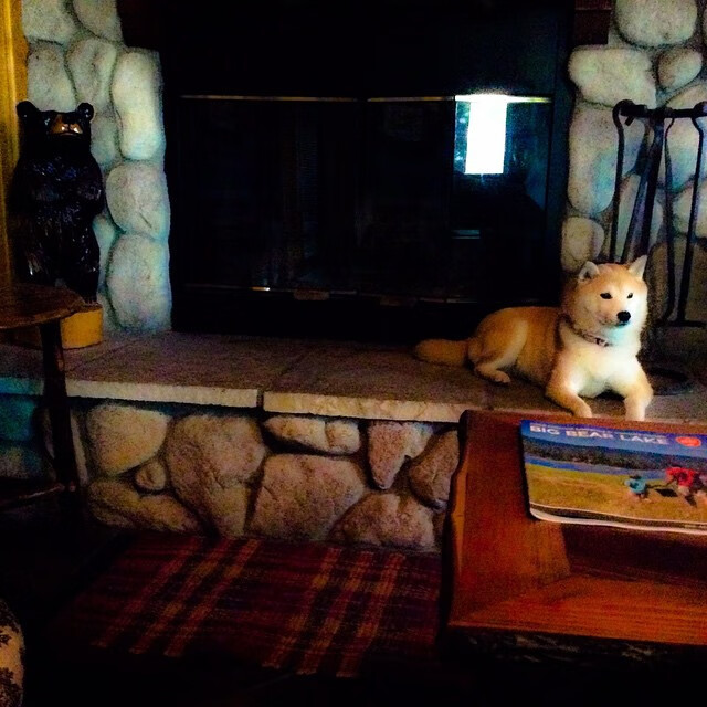 开云·体育官网-吉达联合主帅谈战术革新，吉达协定