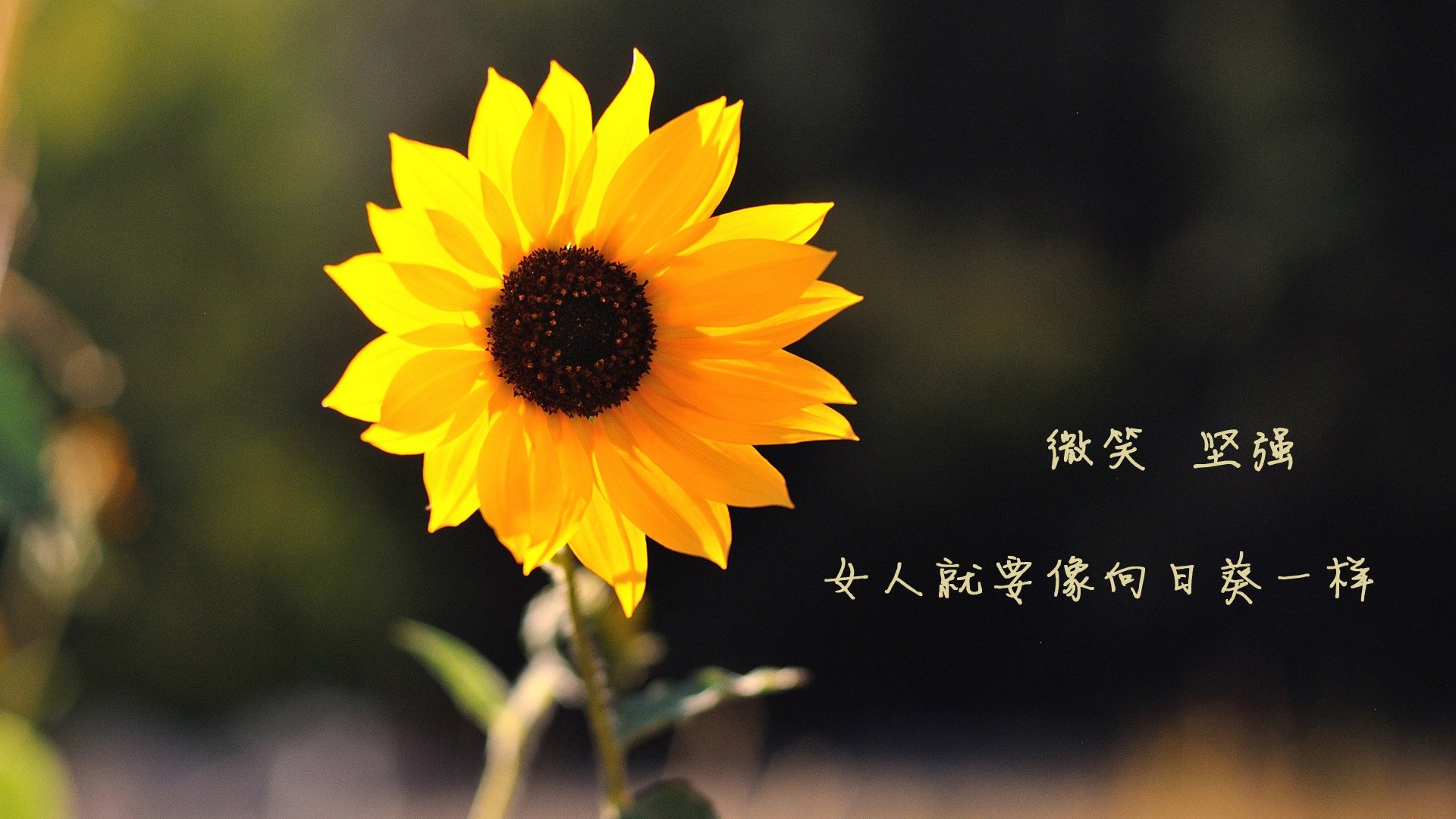 巴黎圣日耳曼宣布姆巴佩本赛季后离队,姆巴佩几号球衣巴黎圣日耳曼