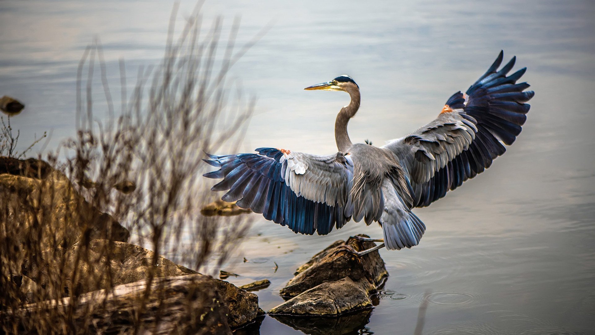 快船队经理公开新赛季计划 欲重振球队雄风,快船队新赛季阵容分析