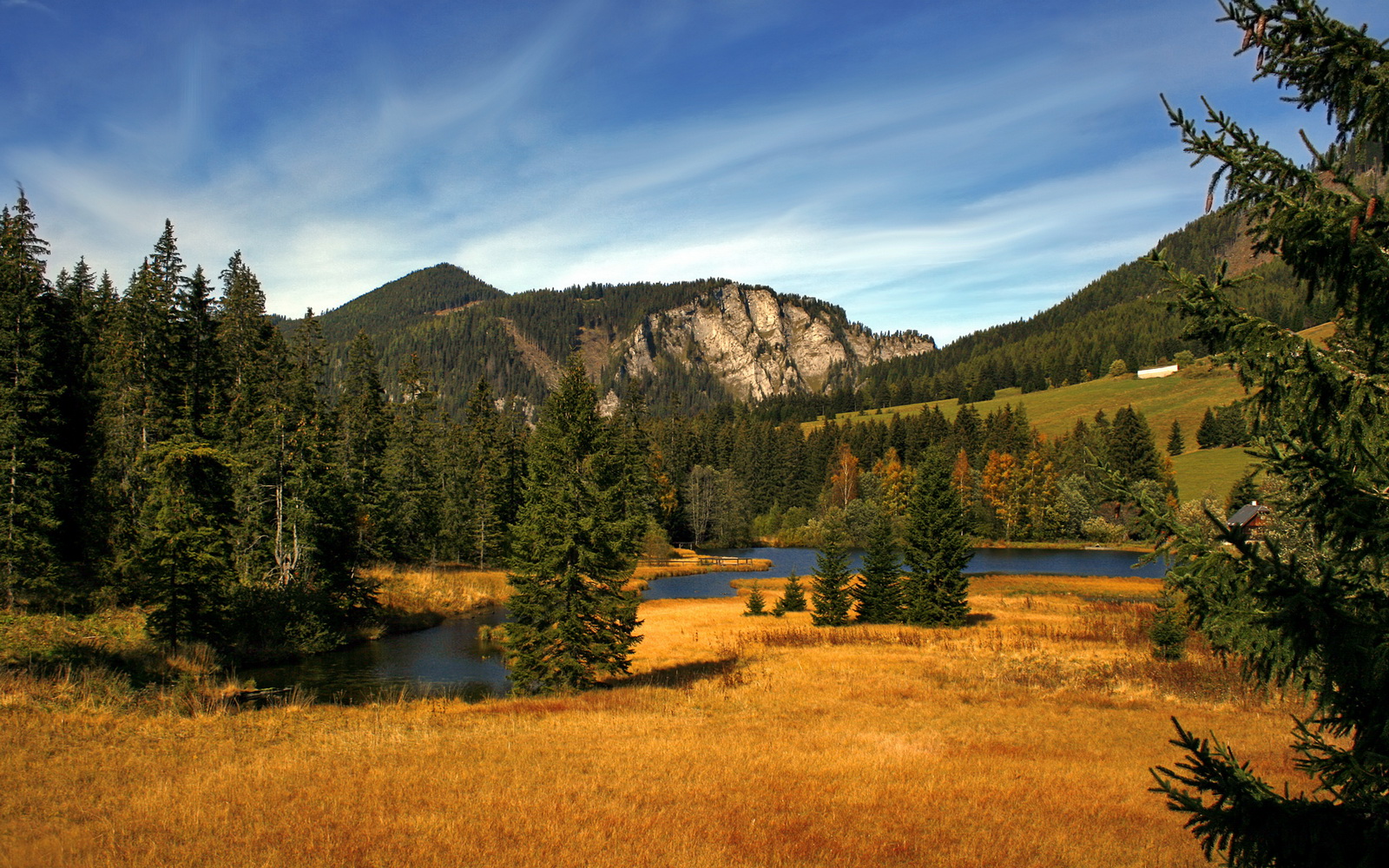 开云kaiyun-精彩瞬间尽收眼底，球场风云再起，球场上风采