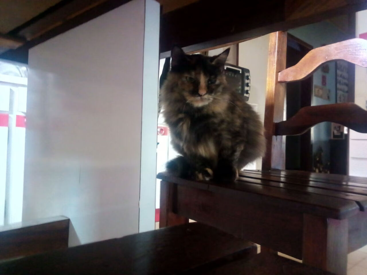 kaiyun官方入口登录-美国篮球巨星率领国际队出战赛事，美国篮球国家队战绩