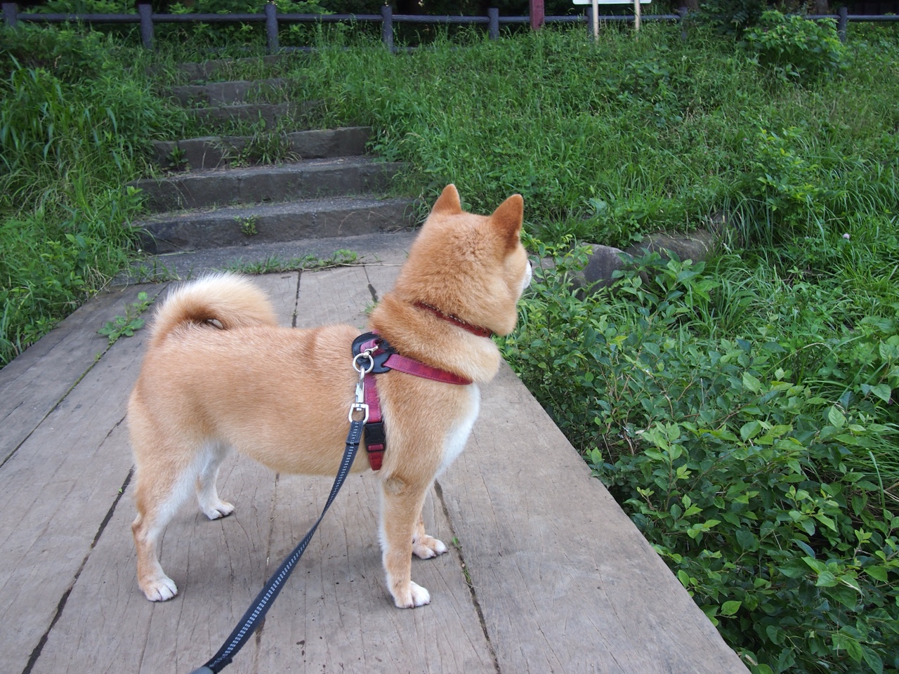 开云官方网站-足球巨星因表现出众荣膺本周最佳球员奖，足球年度最佳球员2020