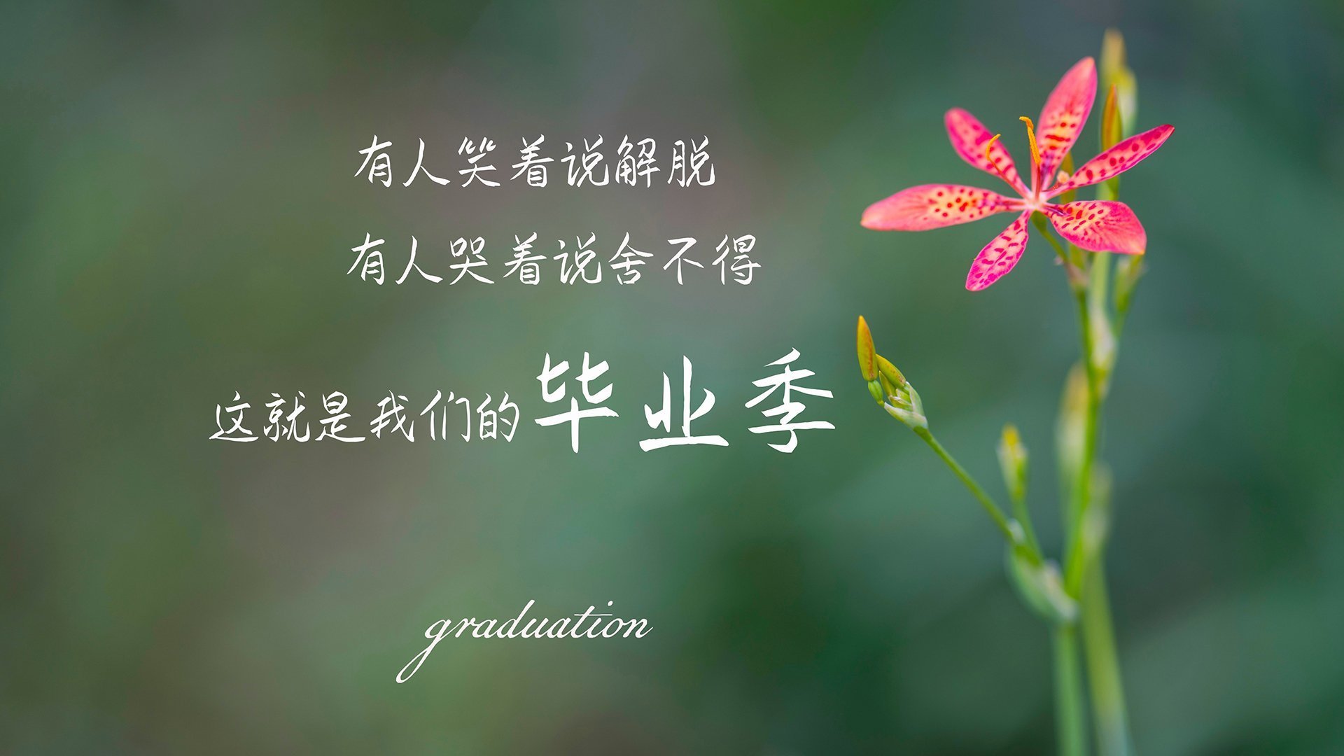 开云官方-阿根廷青少年骑手理查德·基尔克高德在国际马术比赛中获得银牌，展现潜力。