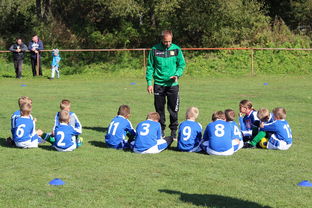 Kaiyun APP-中国篮球教练员战术创新能力培养及培训机制探讨，篮球教练员素养