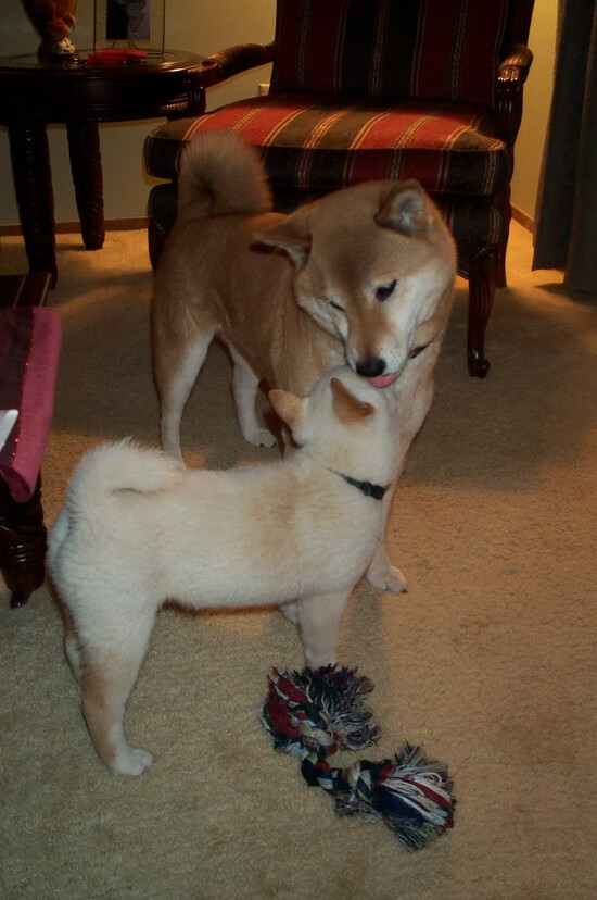 保级球队心理博弈影响赛季后半程表现，保级球队夺冠