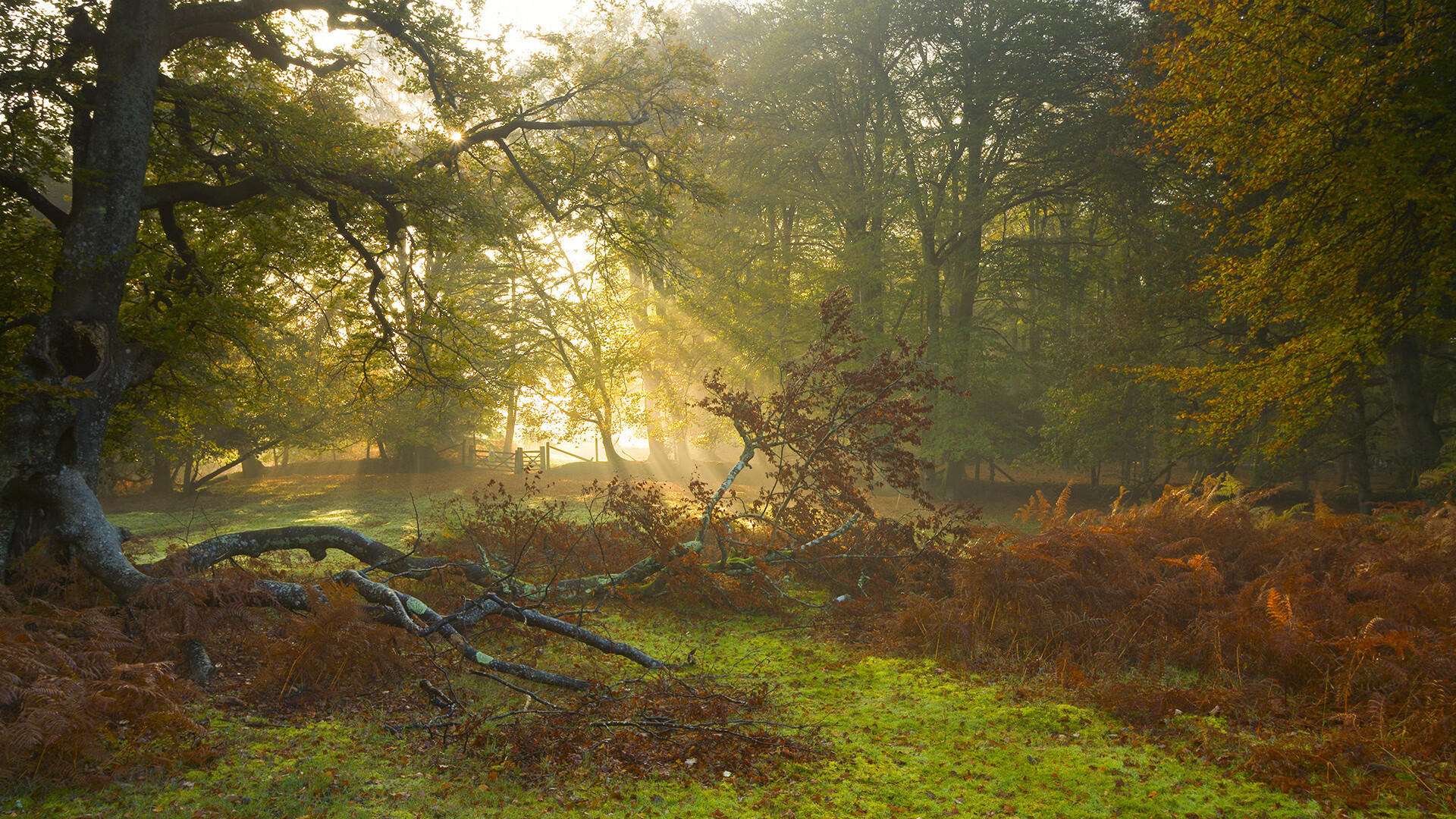 KAIYUNAPP-哈登持球突破制造犯规获得多次罚球，哈登持球能力