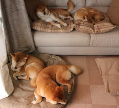 Kaiyun(中国)开云-希腊女篮在欧洲锦标赛中再战群雄，冲击金牌梦想，希腊队 欧洲杯