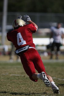 开云·体育官网-校园足球支持学生裁判项目拓展多元职业通路，普通高校足球专业学生裁判能力的培养