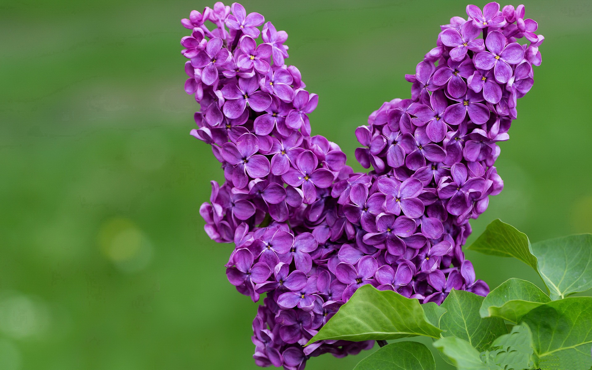 kaiyun登录入口-游泳节奏控制和冲刺规划意识加强，游泳规律