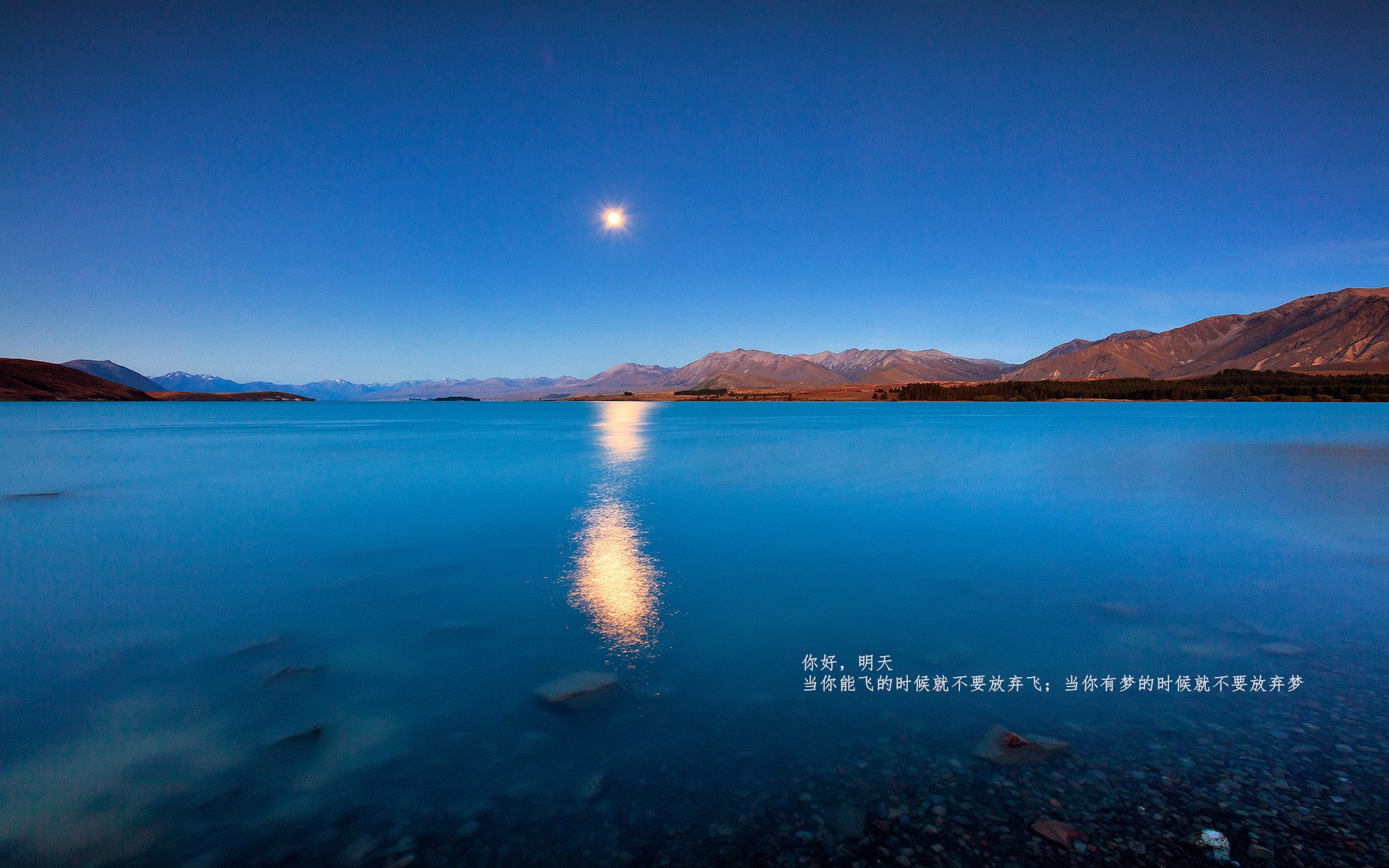 萨默·麦金托什蝶泳决赛展现绝佳爆发力，麦金托什游泳